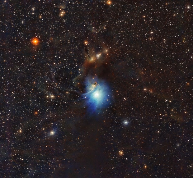 Mlad hvzda osvtluje reflexn mlhovinu IC 2631