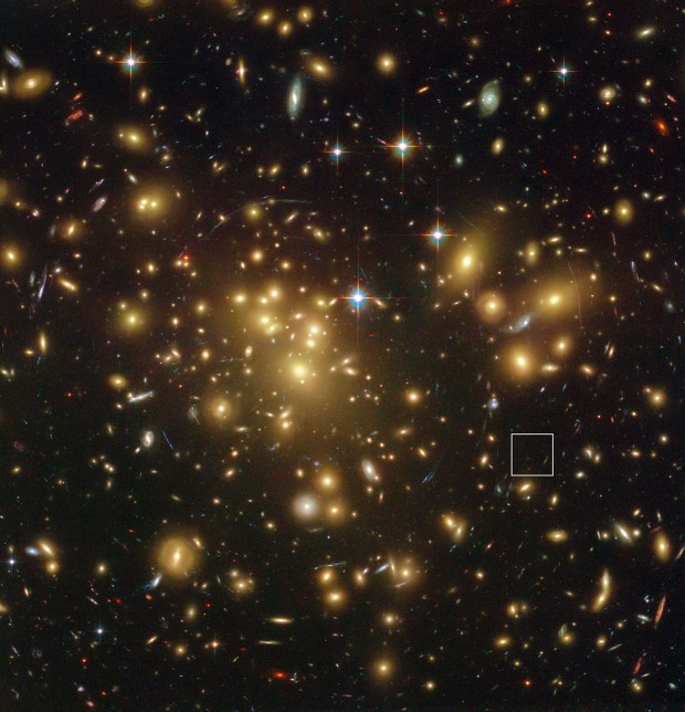 Location of the distant dusty galaxy A1689-zD1 behind the galaxy cluster Abell 1689