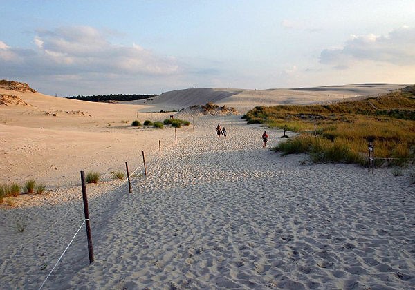 Wydma Lacka, nejvy pohybliv duna