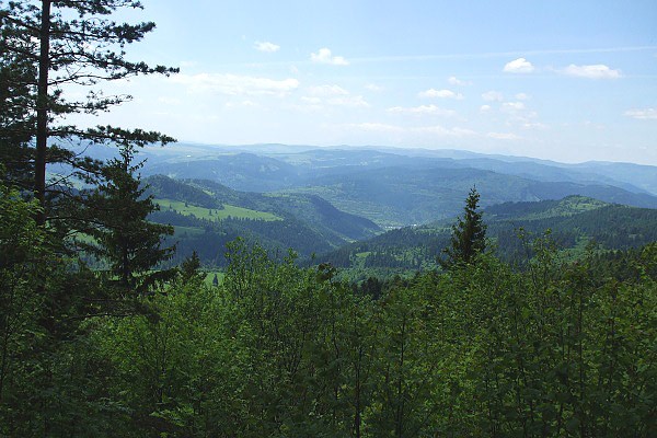 Vhad z Bachurne (1082 m) na zpad, vidno Levosk vrchy