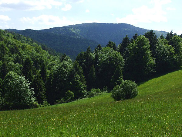 Smrekovica (1 200 m) - krovn pohoria Branisko