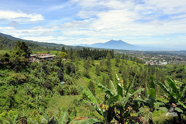 Sopka Bogor, Jva