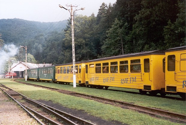 Sprava osobnch vozov lesnej eleznice, vzadu ruov depo v Majdane