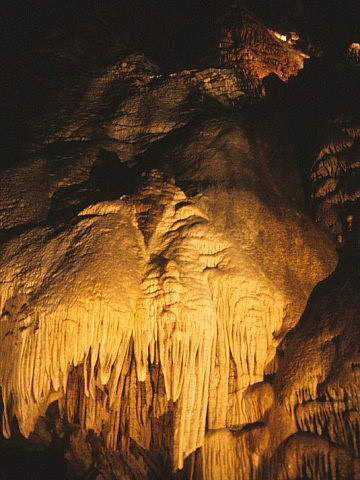 Belianska jeskyn (jaskya)
