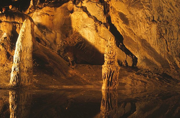 Belianska jeskyn (jaskya)