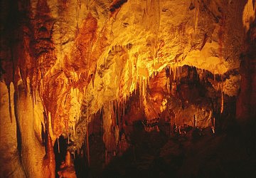 Gombaseck jeskyn, Slovensk kras