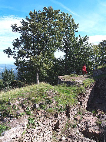 Na zcenin hradu Rogowiec