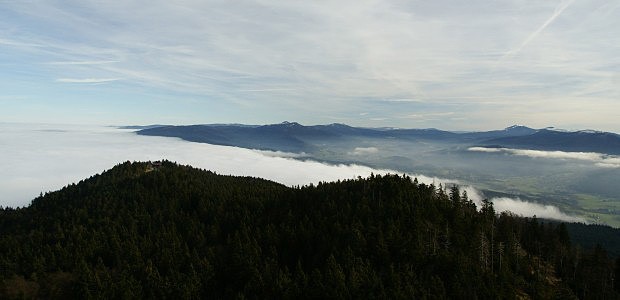 Pohled z ve NATO tower na Hohen Bogenu (1079 m) na vrchol Ahornriegel (1 050 m), Gr. Osser (1 293 m)  a Bayerischer Wald