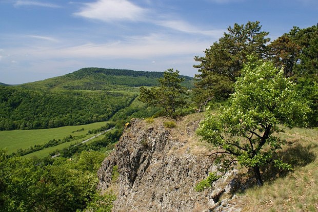 Kamenn vrch (442 m) - lesostep na vrcholu