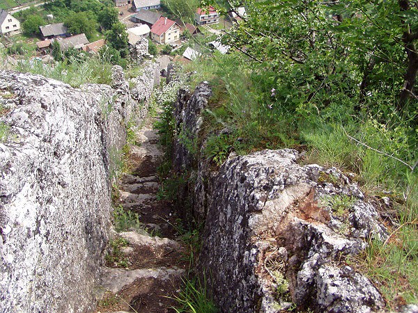 Pohled ze strnice na obec Lednica