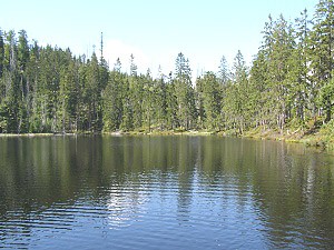 Prilsk jezero