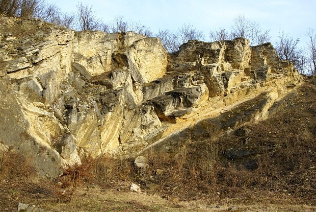 Lom Pod kolou (geologick profil v devonskch vpencch)