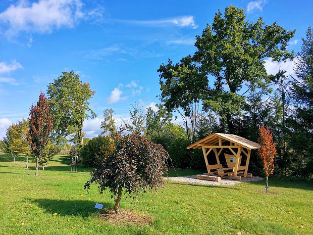 Bukov arboretum v Bukov