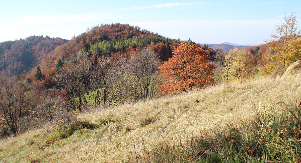 Podzimn barvy ped Fakovskm sedlem