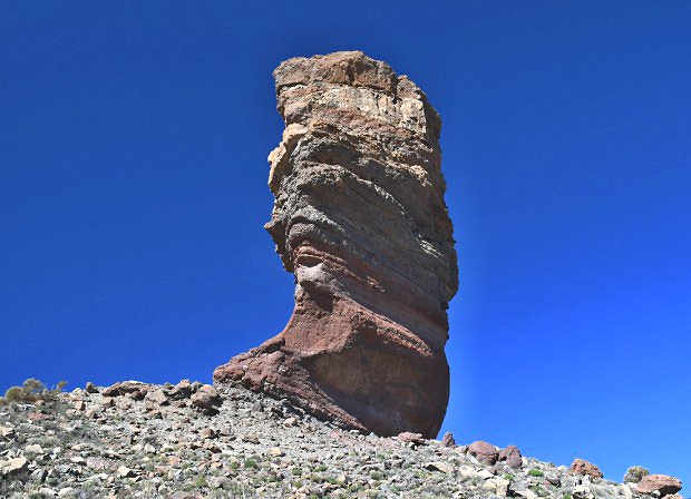 Roques Cinchado v Roques de Garcia