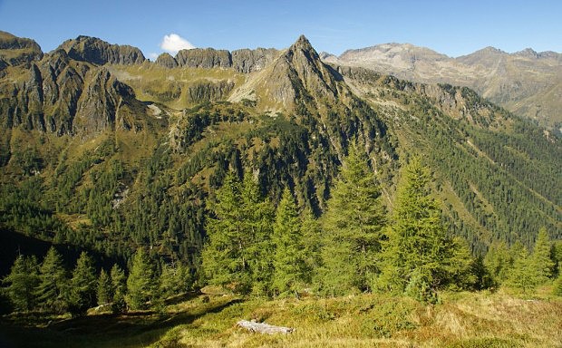 Na horn hranici lesa pi vstupu na Predigstuhl (2 543 m)