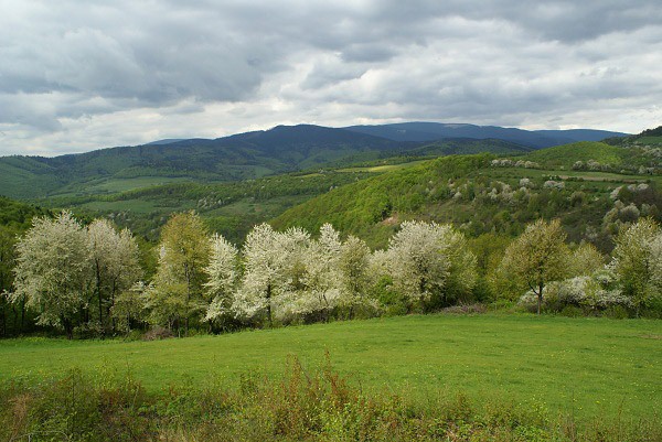 Stolick vrchy od sedla Podjeovec