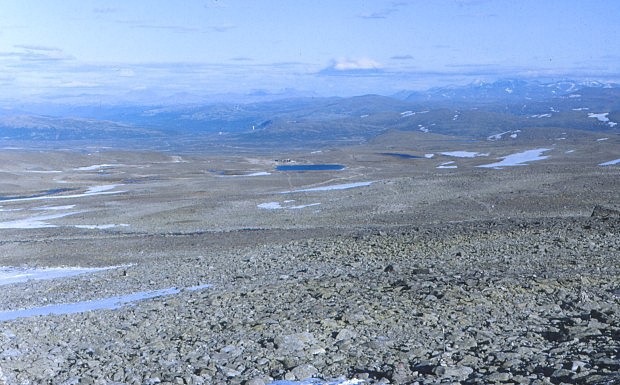 Kamenn pln poho Dovrefjell, na obzoru Rondane
