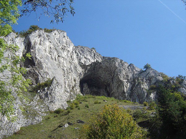Stecha Slovenska