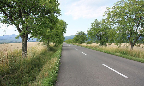 Cesta do Remetskch Hamr