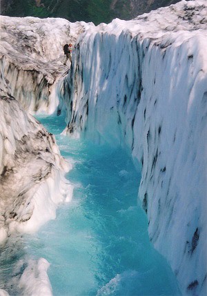 Ledovcov eka na ledovci Root