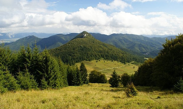Pohled na vrch Dut skala (1 054 m) pes sedlo Huba (888 m) od vrcholu Skalky (1 191 m)