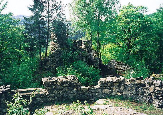 Ruiny hradu Rychleby