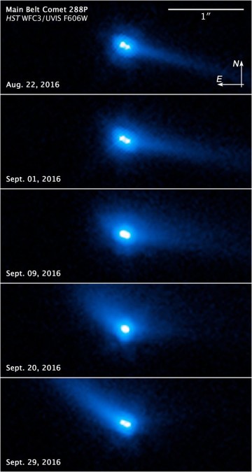 Binrn asteroid 288P