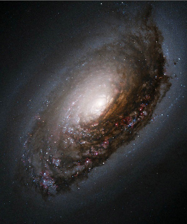 Galaxie M 64