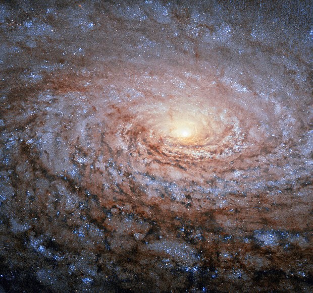Spirální galaxie M 63
