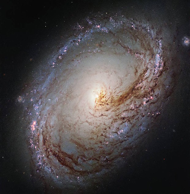 Spirln galaxie M 96
