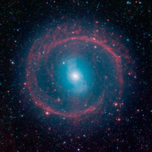 Galaxie NGC 1291