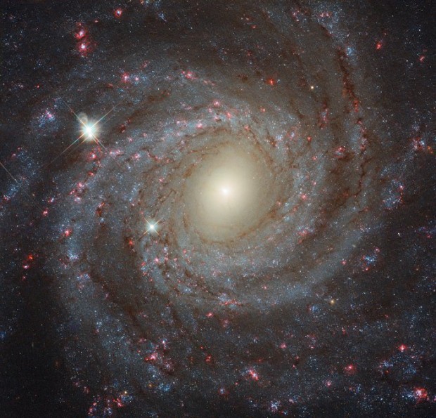 Spirální galaxie NGC 3344