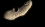 Eros, hlavní pás asteroidů