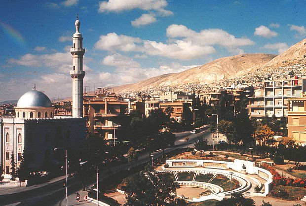 Damask meita, Damaek