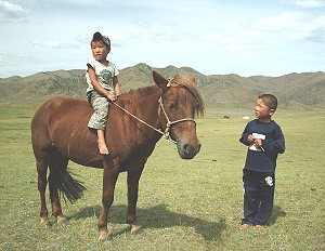 Typický výjev v Mongolsku …