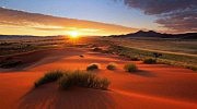 Pou Namib