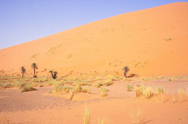 Výška písečných dun přesahuje i 200 metrů