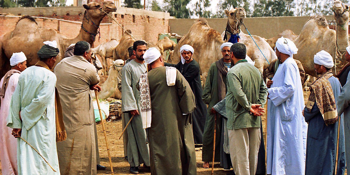 Velbloudí trh v deltě řeky Nil, Egypt