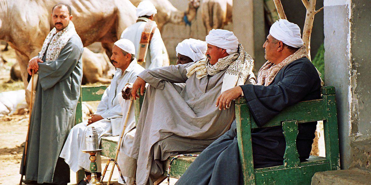 Velbloudí trh v deltě řeky Nil, Egypt