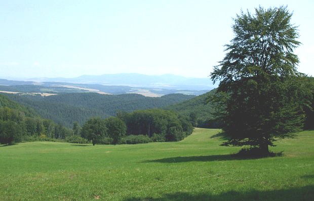 Lúky nad údolím Sopotnice, na obzore Slanské vrchy