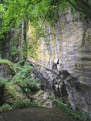 Skalní stěna v Holštejnském údolí