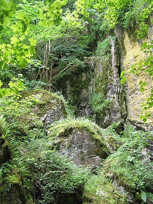 Zřícené skalní bloky v Holštejnském údolí