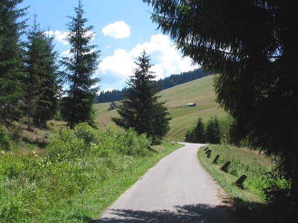 Cesta do sedla Chlpavica