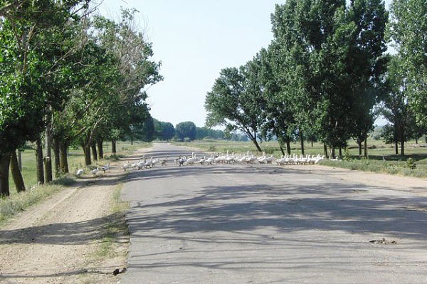 Doprava na moldavskch cestch