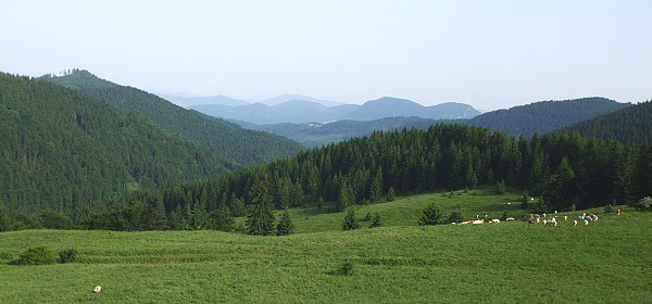 Cestou na Čuntavu - pohľad na Volovské vrchy