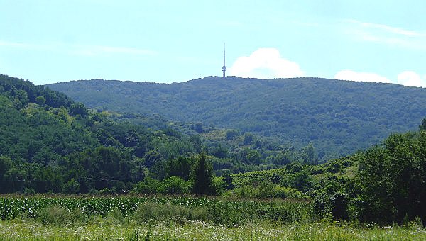 Tokajský kopec