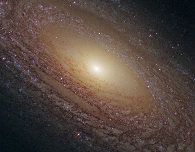 Detailní pohled na spirální galaxii NGC 2841