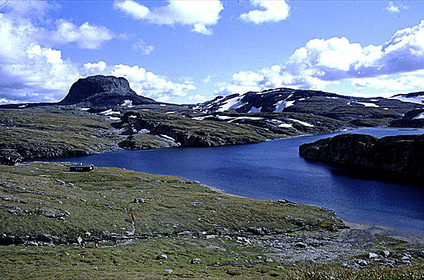 Harteign, Hardangervidda