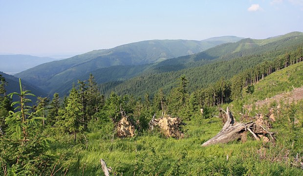 V Nízkých Tatrách ale zůstaly i velké plochy nedotčeného lesa…